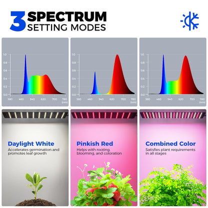 Barrina Indoor Greenhouse with Grow Light, with 40W Seed Starting LED Indoor Plant Light, Portable Mini Greenhouse with Timer for Seed Starter Tray, Seedling, Sprouting, Microgreens, 23x23x23IN