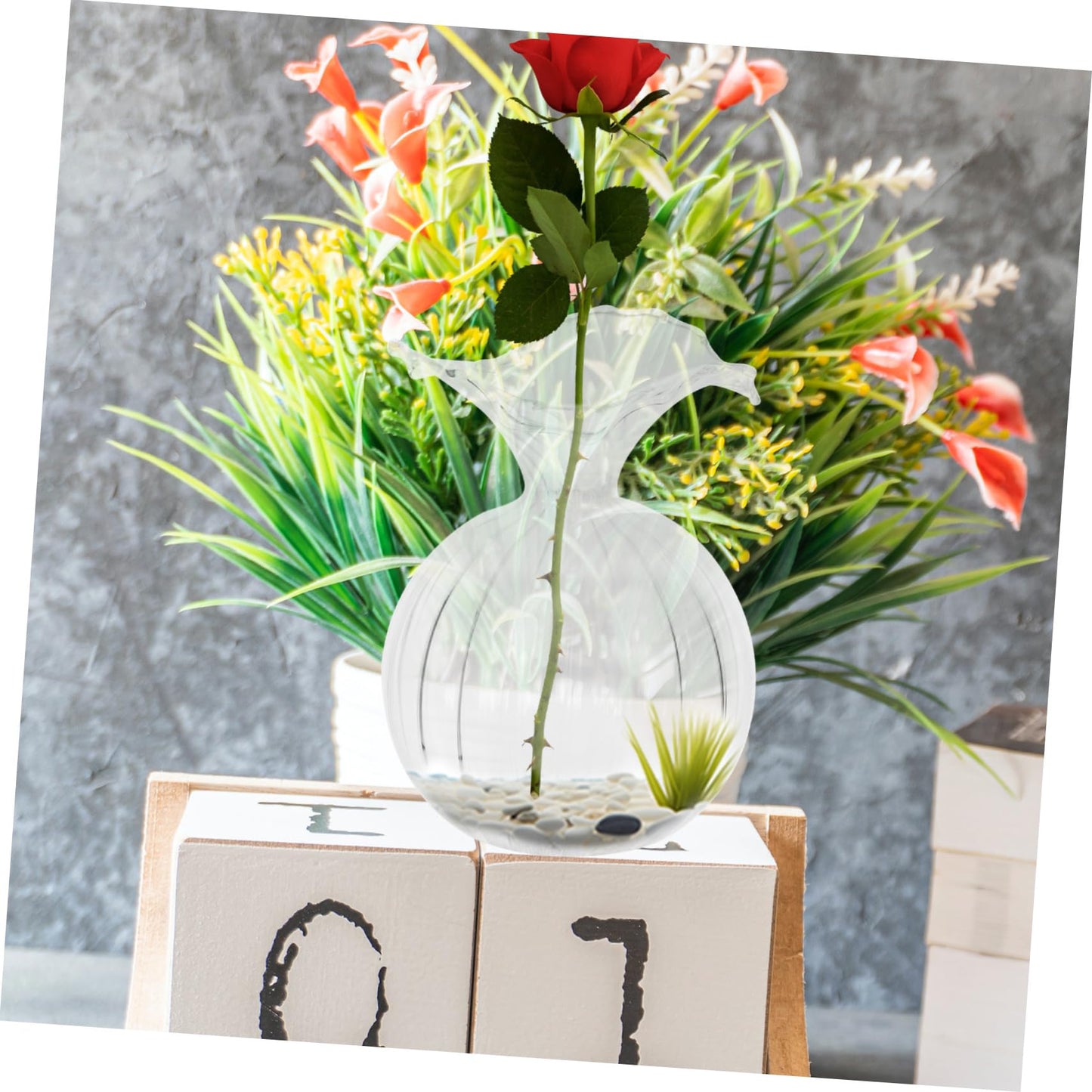 Garneck Clear Glass Hydroponic Vase for Desktop with Stable Design Creative Shape Decorative Terrarium Container for Plants Suitable for Home Office Balcony