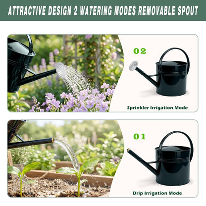 LONGRUN 2.5 Gallon Dark Green Metal Watering Can Primary Colors Nozzle for Plants and Garden with Removable Spout, Made of Galvanized Iron