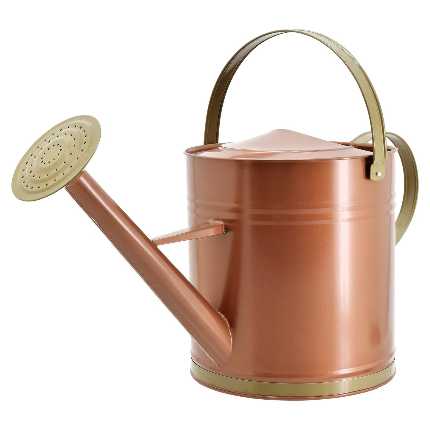 Classic Shiny Galvanized Metal Watering Can, Easy-Pour, Indoor and Outdoor, 2.6 gal, Shiny Galvanized Metal