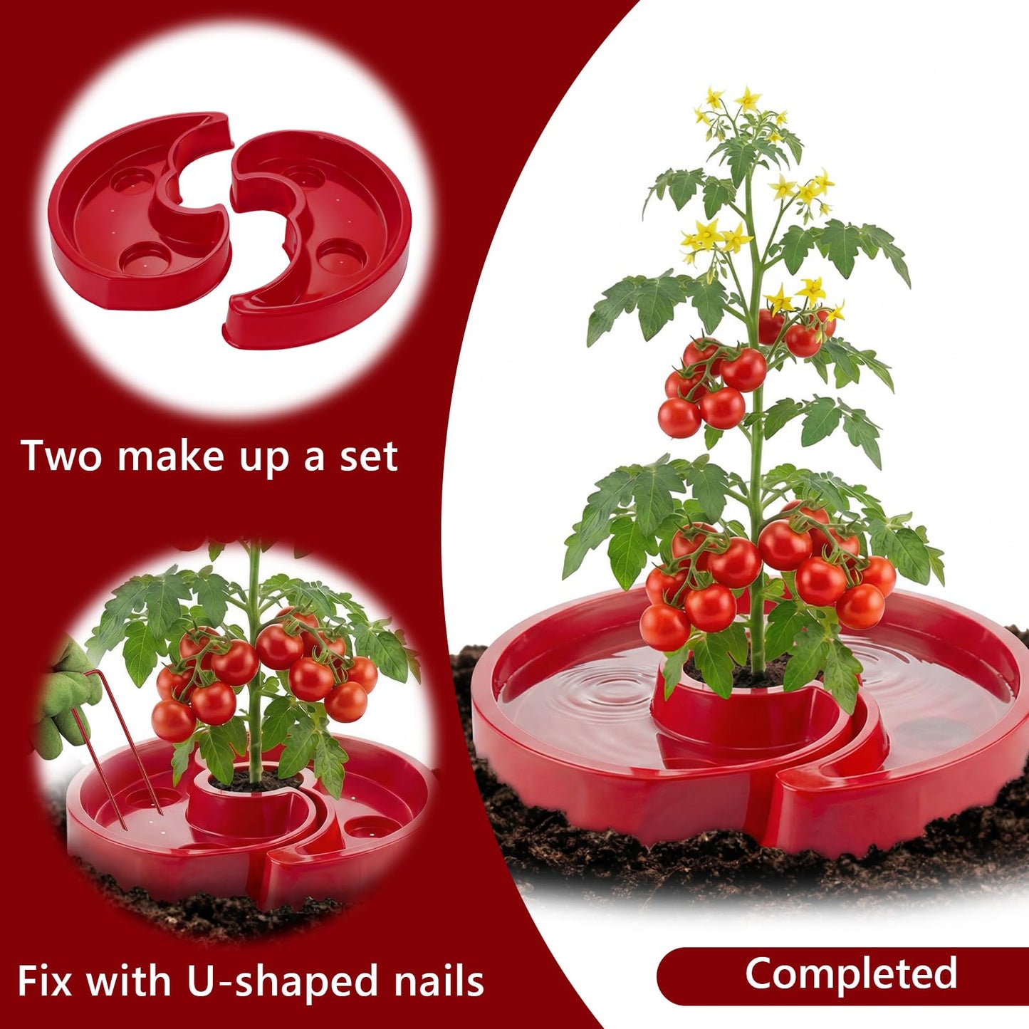 U0U 10 Sets Tomato Watering Trays,Tomatos Ring Tray Used to Improve the Yield of Tomato Plants,Help to Plant Vegetables Water Saving, Easy to Direct the Root Irrigation (10, Red)