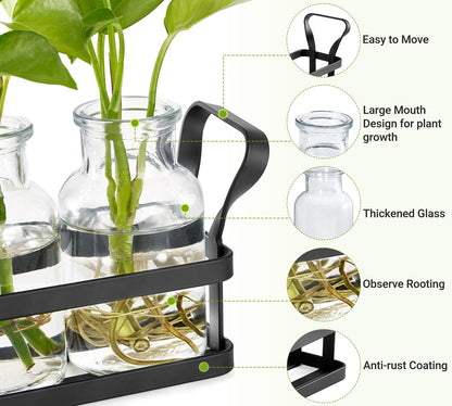 Mkono Propagation Stations with Metal Stand, Desktop Plant Terrarium Glass Planter Vase for Hydroponic Plants Flower Cutting Home Office Garden Decor Plant Lover Gifts, 5 Jars
