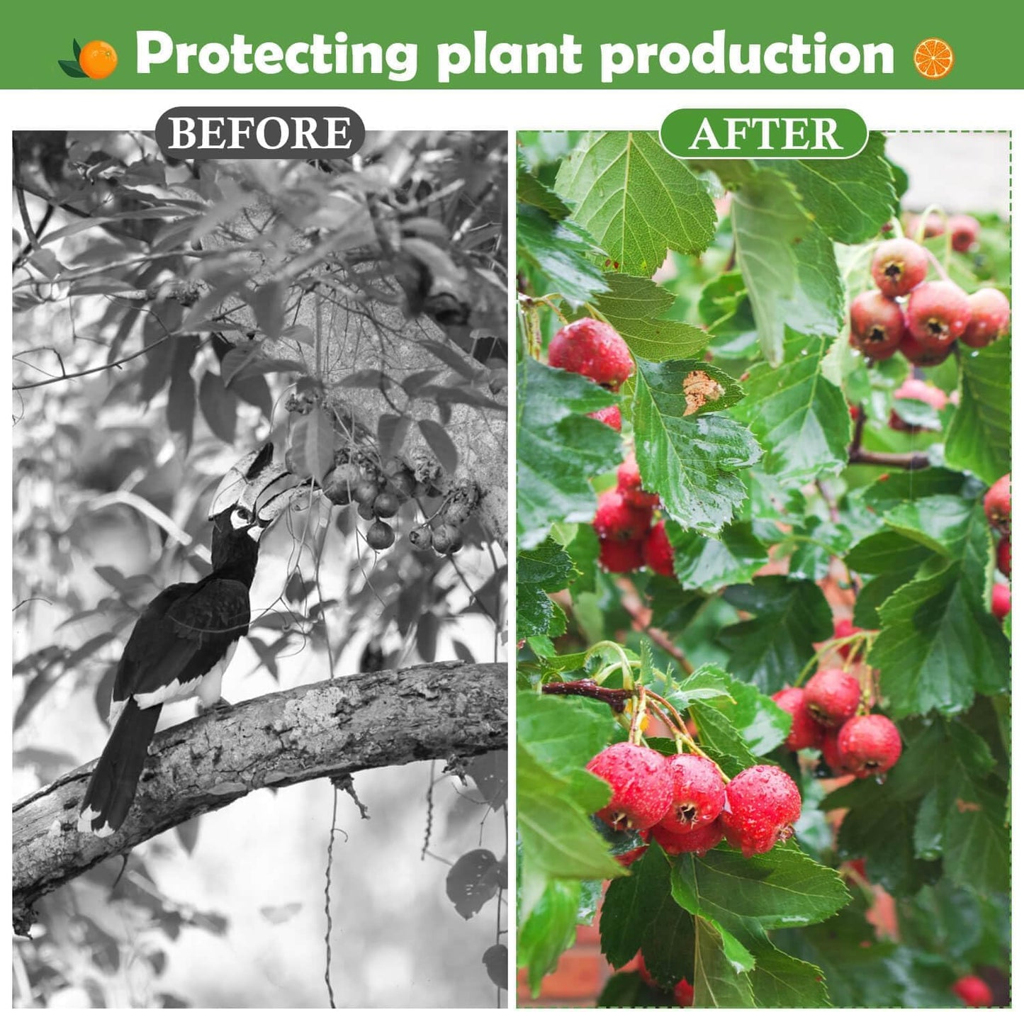 Tetutor 4PCS Fruits Tree Netting, 7.5 x 5.2 ft Large Ultra-Fine Mesh Tree Net for Cicadas with Drawstring,Bird Netting for Fruit Trees, Insect Mesh Neting for Garden Plants