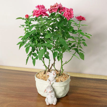 WONDHOME Rabbit Flower Pot Succulent Planter Garden Pots, Easter Decorative Flower Pot,Animal Shaped Cartoon Planter Pots,Art Decorations（with Drainage Hole）