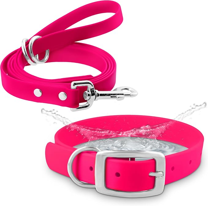 Regal Dog Products Small Pink Waterproof Dog Collar and Leash Set | Heavy Duty Double Buckle & D Ring - 5'ft Leash | Adjustable Biothane Dog Collar | Chew Resistant Waterproof Collar for Dogs