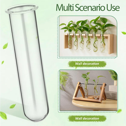 Housoutil Glasstubes for Plants, 5PCS Propagation Tubes for Plants, Glass Test Pipe Vase for Scientific Experiments, Desktop Party Home Office Decor, Flowers Desktop, Indoor Hydroponic Station