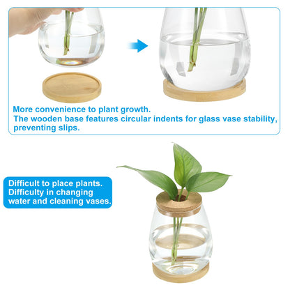 PATIKIL Plant Propagation Station Glass Vases, 2 Pack Desktop Round Planter Terrarium Vase with Wooden Tray & Lid for Hydroponic Office Home Decor Plants Indoor, Brown