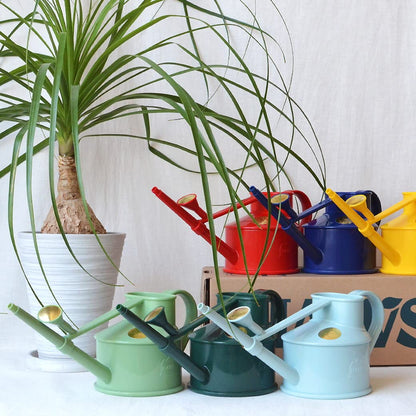 Bosmere Haws Handy Plastic Watering Can, Mini Water Can for Indoor Plants, Succulents and Flowers, Sage Green, 1 Pint