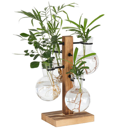 PAG-Mass Plant Propagation Station with 4 Glass Vases & Wood Stand, Hydroponic Air Planter for Indoor Plants, Unique Gardening Gift for Women & Plant Lovers, Desktop Terrarium for Home Decor