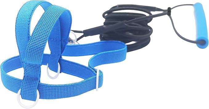 Pet Parrot Bird Harness Leash Adjustable Bird Flying Harness Traction Rope with Cute Wing for Parrots Pigeons Budgerigar Lovebird Cockatiel Mynah Outdoor Training Toy (Blue,S)