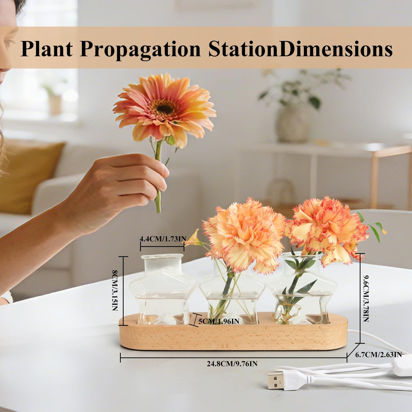 XXXFLOWER Plant Propagation Station with LED Light, Wooden Base Glass Terrarium & Lighted Vase, Hydroponic Planter Terrarium for Home Desk Decor, Ideal Gifts for Gardeners & Plant Lovers(3 Star Vases)