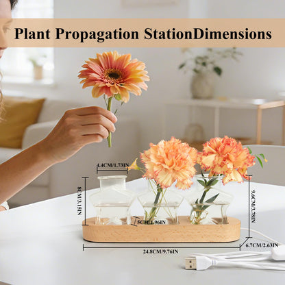 XXXFLOWER Plant Propagation Station with LED Light, Wooden Base Glass Terrarium & Lighted Vase, Hydroponic Planter Terrarium for Home Desk Decor, Ideal Gifts for Gardeners & Plant Lovers(3 Star Vases)