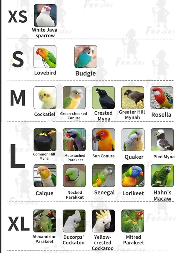 Bird Costume Bird Flight Suit Bird Clothes Cosplay Photo Prop for Parrots Parakeet Cockatiel Sun Conure, Bird Hoodie Small Animals Apparel (Red, Medium)