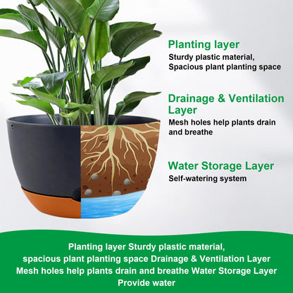 Nooulap 4 Pack Self Watering Pots for Indoor,8 Inch Plant Pot Outdoor Plastic Flower Pot with Drainage and Saucers(Grey)