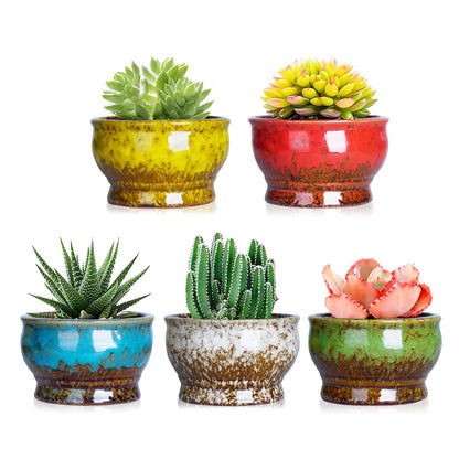ARTKETTY Succulent Pots - 4.3 Inch Small Plant Pots with Drainage Set of 5, Ceramic Pots for Indoor Plants Glazed Cactus Flower Planter Container