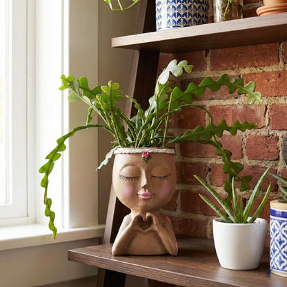 Meltset M Face Planter Pot with Heart Hands, Resin Head Planter for Indoor Plants, Cute Succulent Pots with Drainage Hole, Gardening Gifts for Women Mom Teacher, 7.3" Home Decor (Brown)