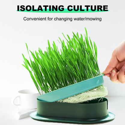 LIFTATAPA 3Pcs Cat Grass Planter, Plastic Wheatgrass Planting Trays Hydroponic Cat Grass Growing Kits for Indoor Cats Soilless Nursery Box Pet Grass Pot (3 Color)