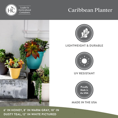 The HC Companies Caribbean Planter Pot - Outdoor & Indoor Plant Pot with Drainage Hole & Plug - Rolled Rim Plastic Pots for Plants & Flowers - Decorative Plant Pot (8" Honey, Pack of 1)