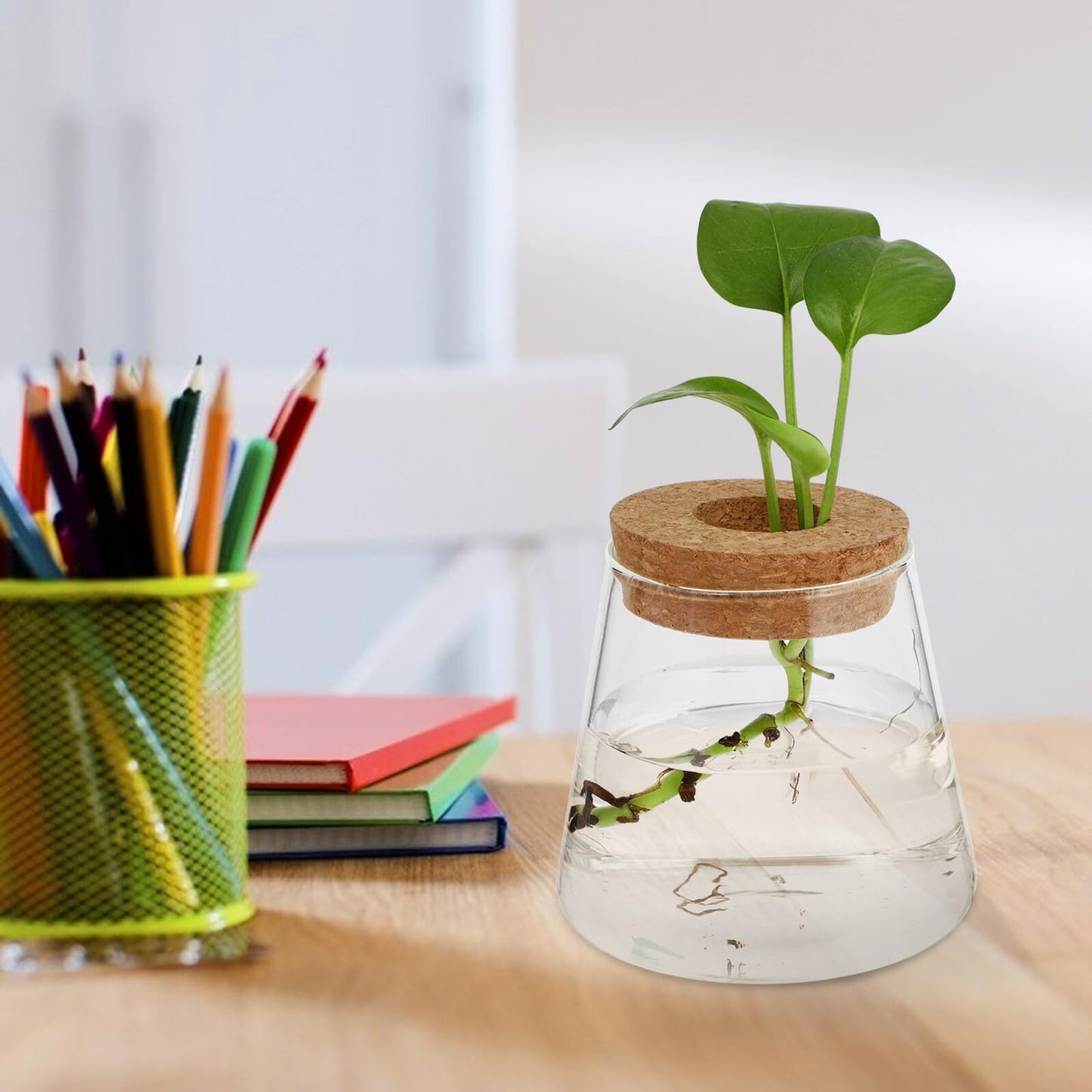 Uonlytech 2pcs Glass Hydroponic Plant Vase Set, 6.5cm Mouth Diameter Glass Planter Pots for Indoor Garden, Office Desk Terrarium, Hydroponics Growing Jar for Home Décor