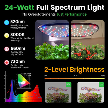 LPH-Air Hydroponics Growing System with 172 PCS Seed Plant Kits