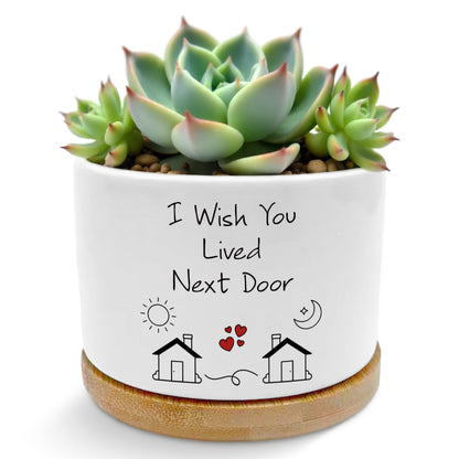 ROXMART Gifts for Best Friend Woman Plant Pots, Friendship Bestie BFF Gifts Succulent Planters, I Wish You Lived Next Door Ceramic Plant Flower Pots for Home Office Desk Table Shelf(No Plants)