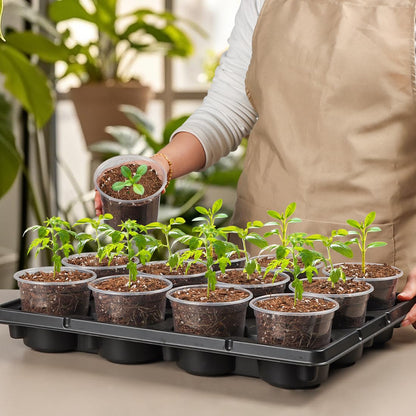 RooTrimmer 12 Cell Nursery Pot Trays 5 Pack with 4 Inch Clear Plant Pots 60 Pack, Thick Sturdy Seeds Starting Germination Shuttle Carrying Trays, Black Small Planter Nursery Propagation 5 Sets