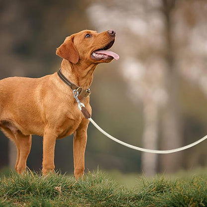 Mile High Life Leather Dog Leash, Heavy Duty Strong Genuine Leather Handle Rope Leash Soft and Comfortable for Small Medium Large Dogs (Cream White, 72 Inch)