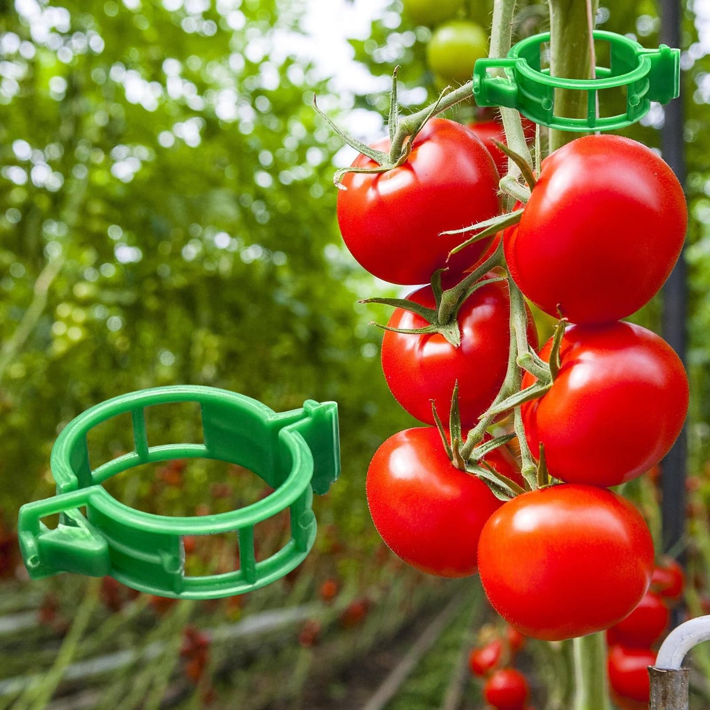 Dalzom® 300Pcs Tomato Clips, Plastic Trellis Clips Plant Support Clips, Plant Clips for Support, Grape Vine, Tomato Vine, Vegetables Plants, Garden Clips to Grow Upright Makes Plants Healthier (Green)
