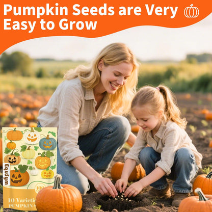 10 Variety Mix Pumpkin Seeds for Planting - 100 Heirloom Seeds, Baby Boo, Blue Jarrahdale, Jack Be Little, Jack O Lantern, Sugar Pie, Yellow Paris for Summer & Fall, Non GMO Pumpkin Seed