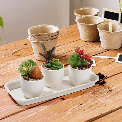 IMIKEYA 5 Pack Rectangular Plastic Plant Drip Trays: 12 Inch White Plant Saucers for Indoors, Windowsill, Flower Pot Planter Drip Tray to Catch Water