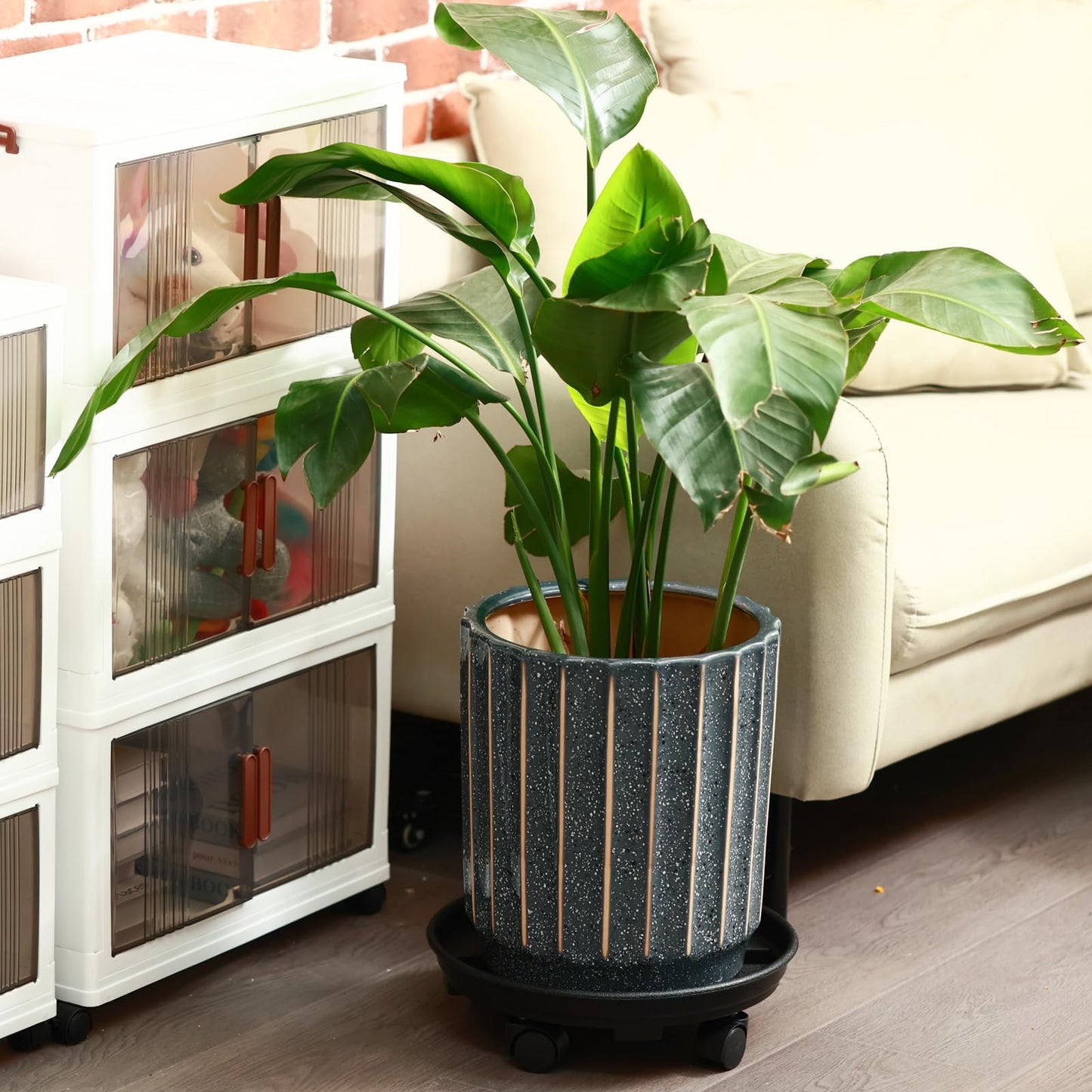 6 Packs 10.6 Inches Small Plant Caddy with Wheels Plant Saucers on Wheels Rolling Plant Stands Heavy-duty Plant Dolly Plastic Planter Roller Base Pot Movers Outdoor Plant Tray Coaster, Black
