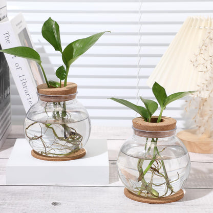 Baderke 6 Packs Propagation Vases for Plants Plastic Plant Propagation Station with Hole Lid and Cork Coasters Plant Growing in Water Hydroponic Home Office Table Decoration(Fish Bowl Style)