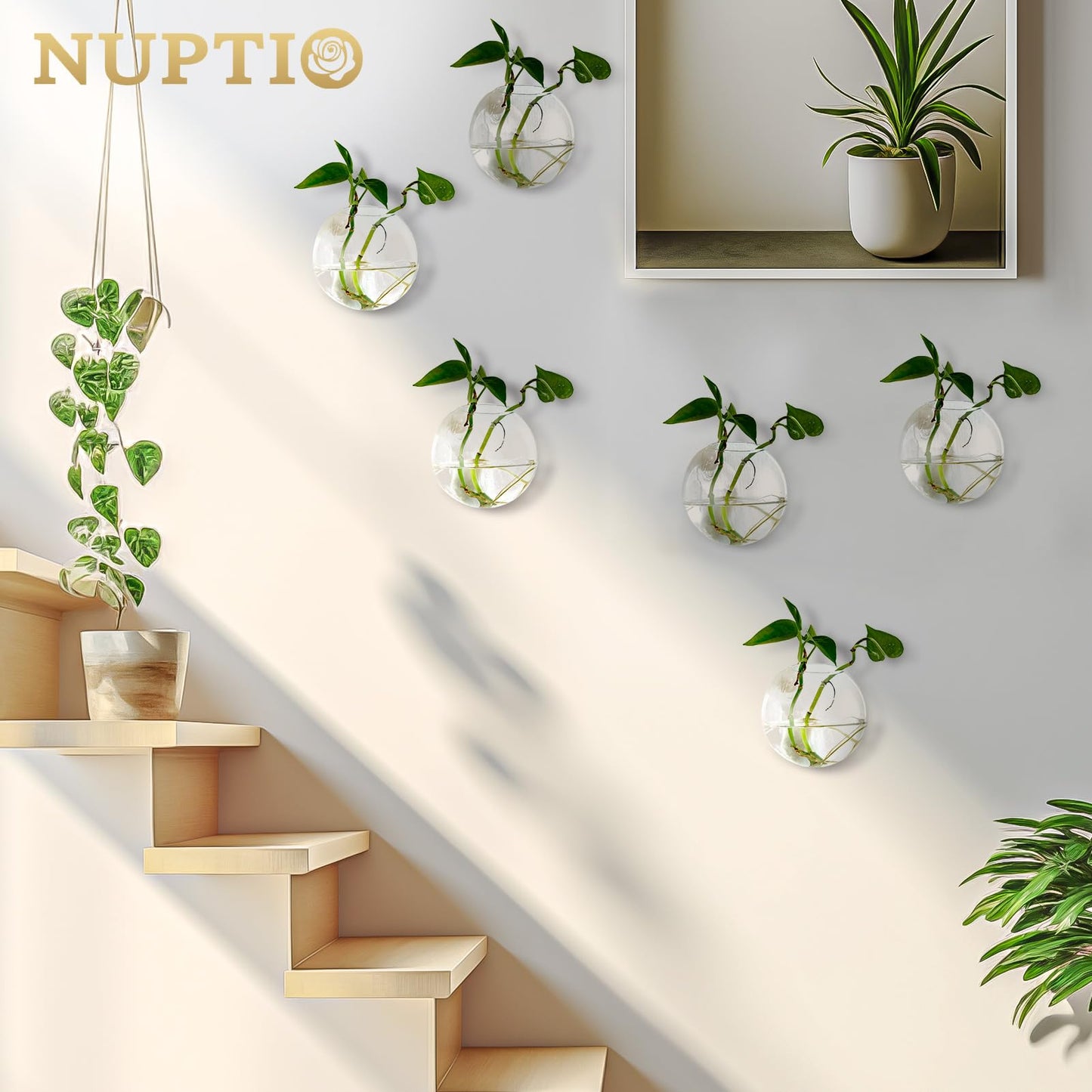 NUPTIO Wall Hanging Planter Terrarium: 4 Inch Glass Air Plant Holder 6PCS Propagation Indoor Floral Vase Flat Round Hydroponic Container Wall-Mounted Floating Pots for Bathroom Balcony Greenhouse