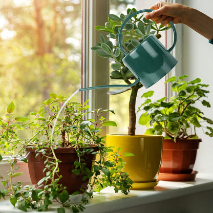 Lechloris Indoor Watering Can for Houseplants - Long Spout Metal Watering Can for Indoor Plants,Succulents or Outdoor Garden Flower, 1.3L / 40 oz Green