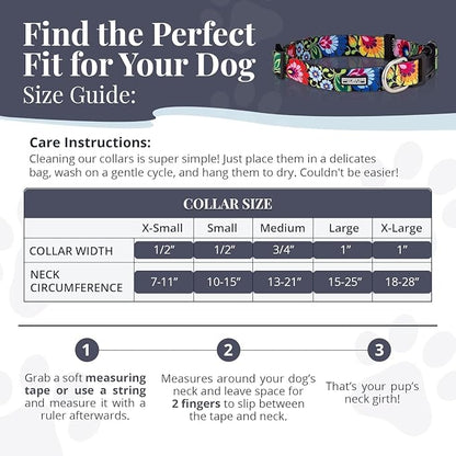 Lucky Love Dog - Easy Click Buckle Dog Collar with Leash Set Combo, Durable & Comfortable for Male & Female Dogs, Pet Collar for Small Dogs, Secure Fit - Bailey Combo, XS