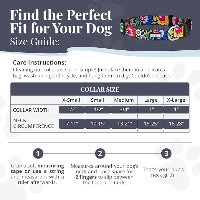 Lucky Love Dog - Easy Click Buckle Dog Collar with Leash Set Combo, Durable & Comfortable for Male & Female Dogs, Pet Collar for Small Dogs, Secure Fit - Bailey Combo, Small