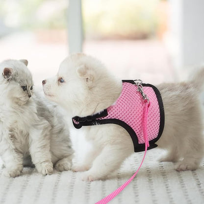 TEHAUX 2pcs Small Pet Harness and Leash Set for Walking Breathable Mesh Vest Adjustable for Rabbits, Guinea Pigs, Puppies, and Kittens Pink and Fruit Green Medium Size for Outdoor