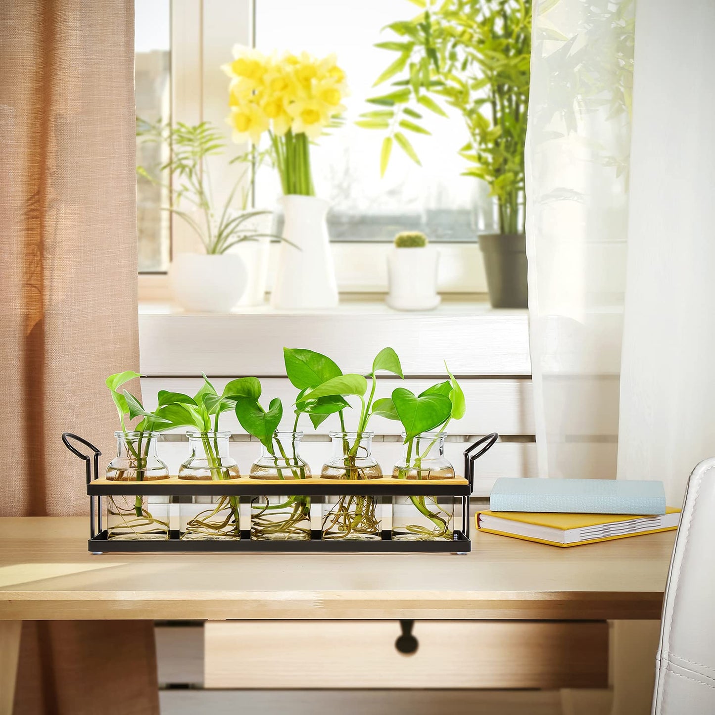 THYGIFTREE Plant Propagation Stations with Metal Stand, Tabletop Plant Terrarium for Propagating Hydroponic, Retro Glass Planter Flower Vase Home Kitchen Office Decor Gifts, 5 Jars