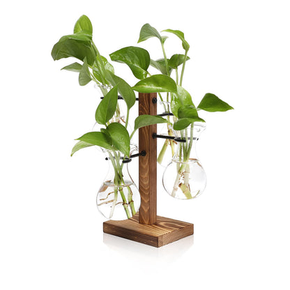 Plants Propagation Stations Bulb Glass Propagation Birthday Gift for Women Garden Plant Lovers - 4 Bulb