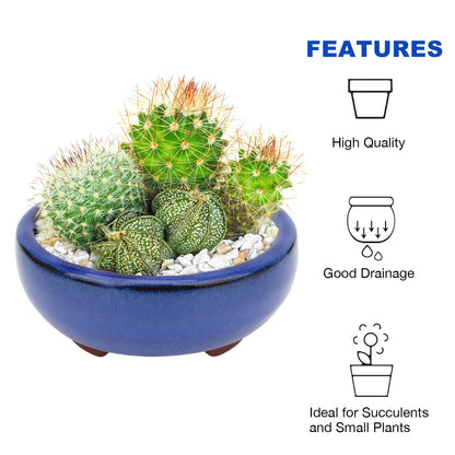 Bonsai Planter Succulent 4" Small Glazed Pots, Value Set of 2 + 4 Soft Mesh Drainage Screens