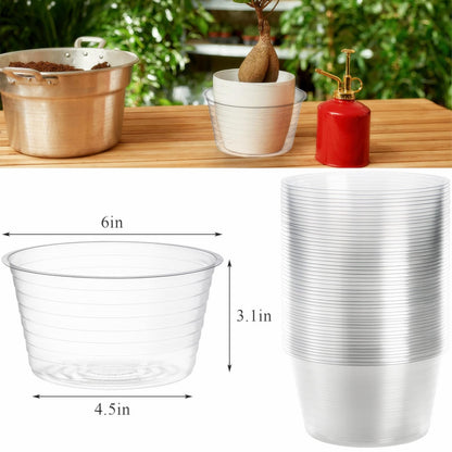 Tebery 50 Pack Clear Plastic Plant Saucer Drip Tray for Pots, 6 Inch Deep Flower Pot Saucers Water Catcher Tray Watering Trays for Plants Indoors and Outdoor