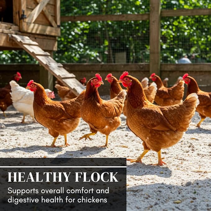 World’s Best Chicken Dust Bath – Natural Wood Ash, Sand & Fine Dust Blend – Safe for All Chickens (12 Ounces)