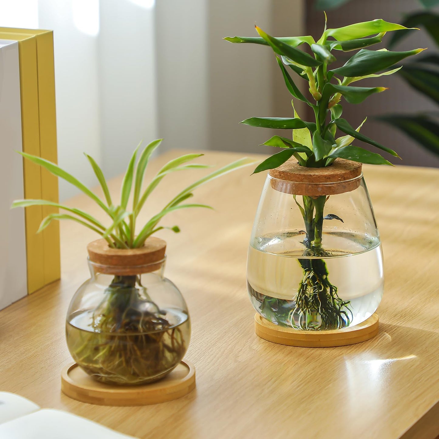 Layhit 4 Pcs Plants Propagation Stations vases Glass Planters with Wooden Lid and Bamboo Stand for Hydroponic Plants Gardening Gifts for Women Mom Home Office Tabletop Decoration(Lovely Style)