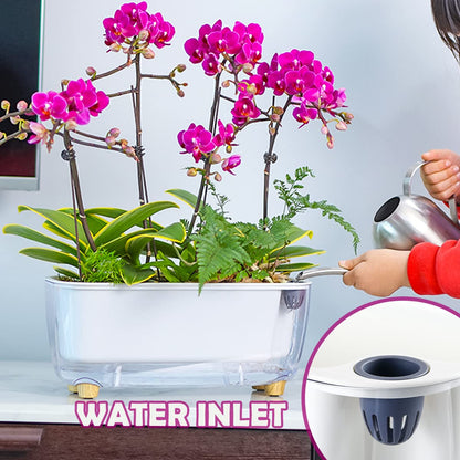 5 Pack Rectangular Planter 11.8 x 4.6 in Self Watering Planter Window Sill Planters Indoor Rectangle Planter Self Watering Pots Plastic Plant pots for African Violet Flower Orchid (Clear, 5)