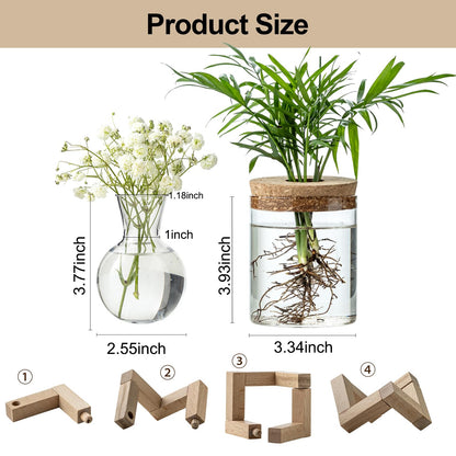 JGKYLDZ Plant Propagation Station, 2 Style Glass Planter Terrarium Set for Hydroponic Plants | Home Office Tabletop Decor, Gardening Gifts for Women, Mom, Plant Lovers (6)