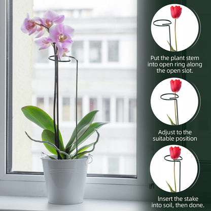 XYCING Green Metal Plant Support Stakes with Rings (Pack of 8) and 10 Plant Clips - Garden Single Stem Support Rod Set for Amaryllis, Rose, Tomato Seedling, Sapling