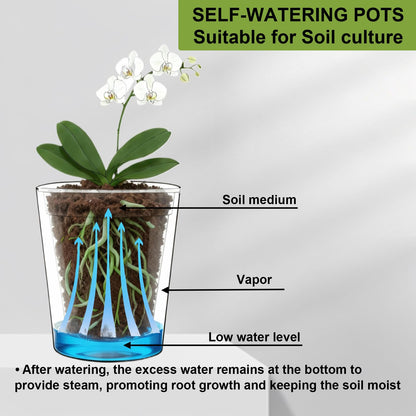TineDew 3 Pack of 6in Plastic Cachepot with 6 inch Clear nusery Pot - self Watering Indoor Planter with Drainage for Root Visibility,semi Hydro pots for repotting Orchids,Aroid or Monstera,Black