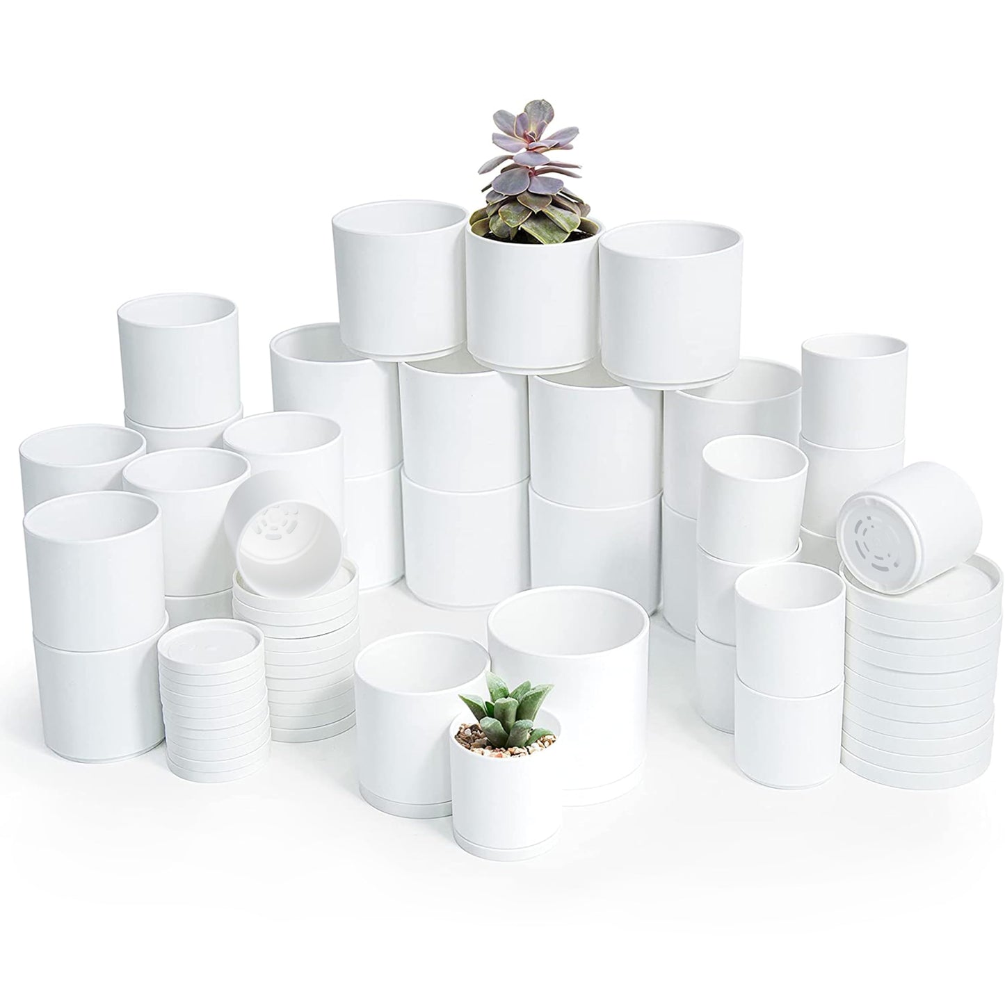 D'vine Dev Pack of 36 Plastic Plant Pots (12 Set of 2 Inch, 2.5 Inch, 3 Inch) Small Garden Planter Pots for Plant with Drainage Holes and Saucers, White, 74-T-A