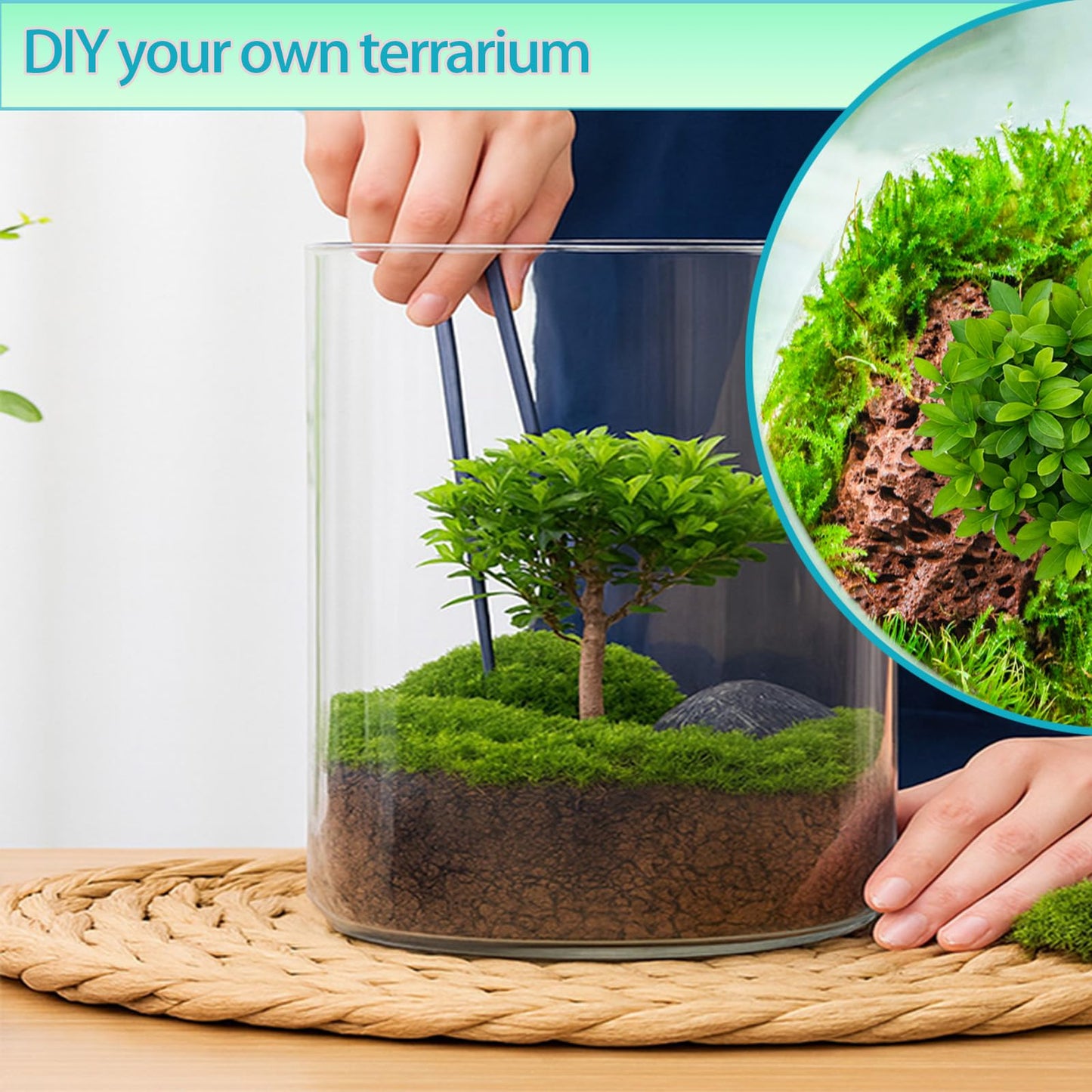 Plant Terrarium Kit, Christmas Birthday Gift for Gardener Women Mom Garden Lover | Home Office Decor
