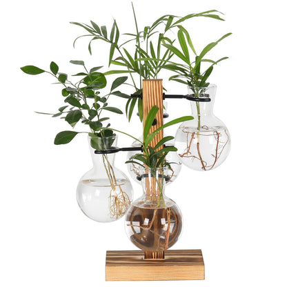 PAG-Mass Plant Propagation Station with 4 Glass Vases & Wood Stand, Hydroponic Air Planter for Indoor Plants, Unique Gardening Gift for Women & Plant Lovers, Desktop Terrarium for Home Decor